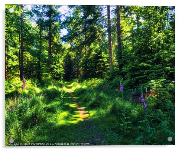 Enchanting Woodland Pathway Acrylic by Janet Carmichael