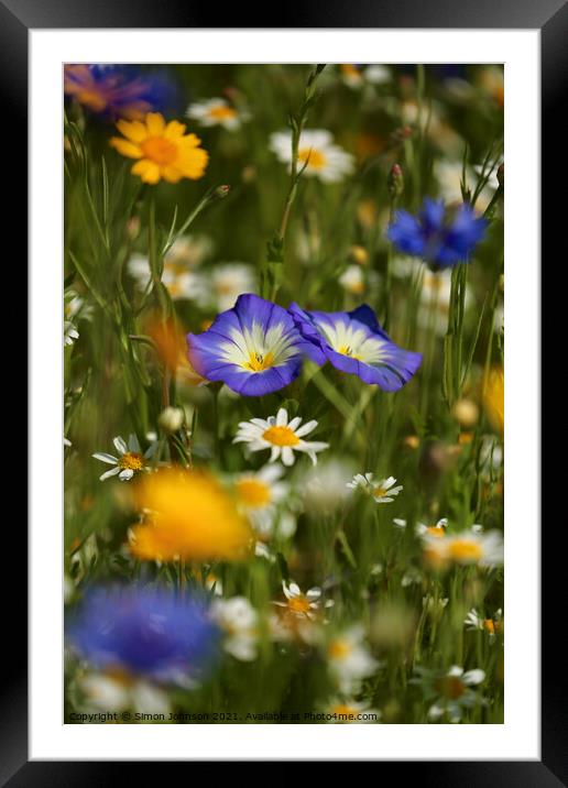 meadow Flowers Framed Mounted Print by Simon Johnson