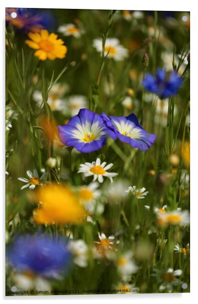 meadow Flowers Acrylic by Simon Johnson
