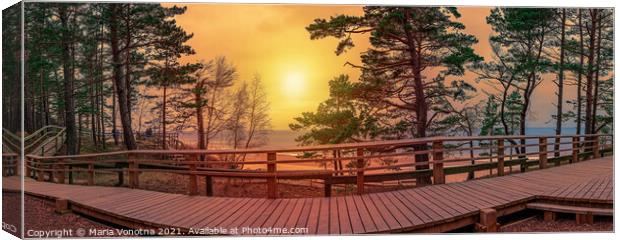 Sunset panorama of wooden path near Baltic sea coast Canvas Print by Maria Vonotna