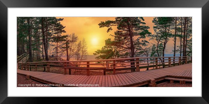 Sunset panorama of wooden path near Baltic sea coast Framed Mounted Print by Maria Vonotna