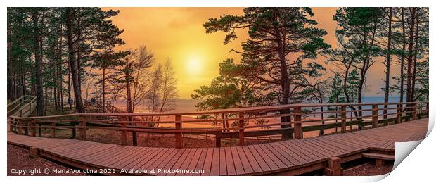 Sunset panorama of wooden path near Baltic sea coast Print by Maria Vonotna