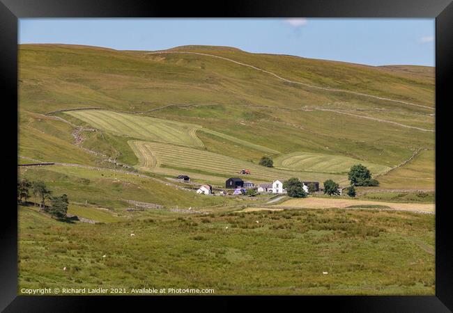 Haytime at Marshes Gill, Teesdale Framed Print by Richard Laidler