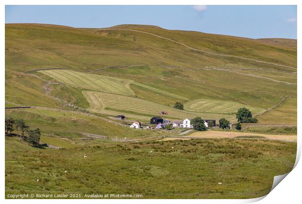 Haytime at Marshes Gill, Teesdale Print by Richard Laidler