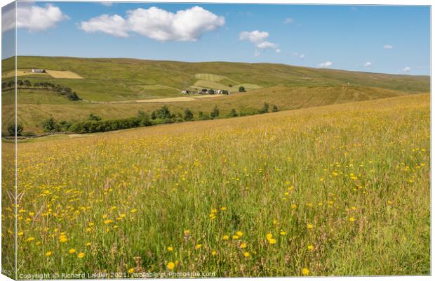 Harwood Hay Meadow  Canvas Print by Richard Laidler