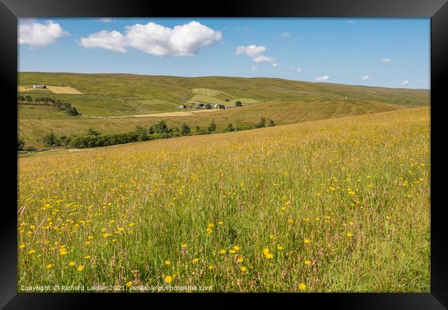 Harwood Hay Meadow  Framed Print by Richard Laidler