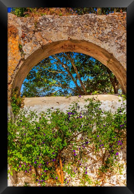 Ancient Usseira Aqueduct Blue Flowers Obidos Portugal Framed Print by William Perry