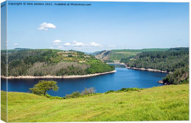 Part of Llyn Brianne Reservoir Carmarthenshire Canvas Print by Nick Jenkins