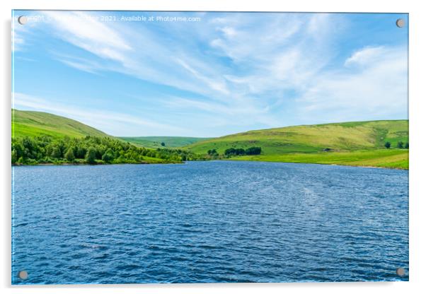 Craig Goch Reservoir Acrylic by Beata Aldridge