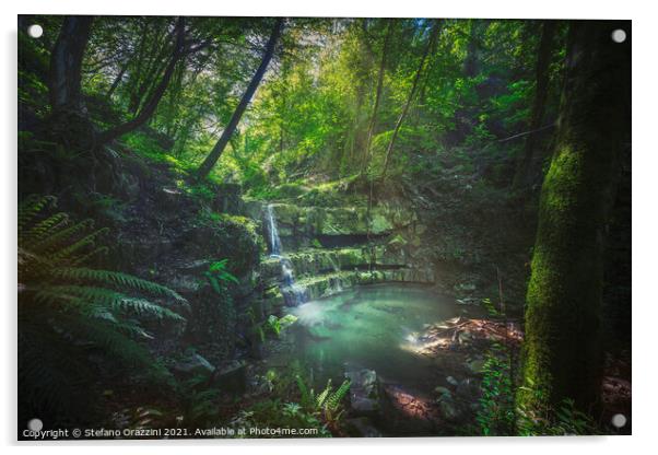 Waterfall inside a forest. Tuscany Acrylic by Stefano Orazzini