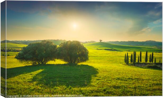 Rolling hills and trees. Tuscany Canvas Print by Stefano Orazzini