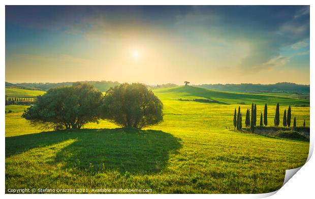 Rolling hills and trees. Tuscany Print by Stefano Orazzini
