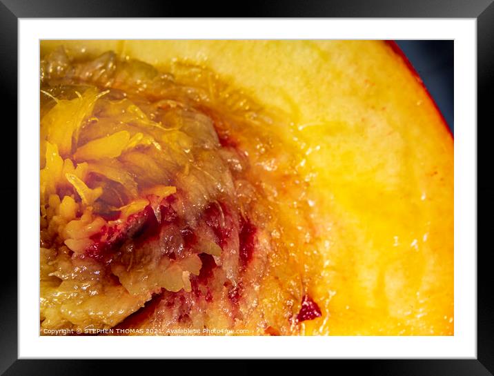 A Nectarine Sun Framed Mounted Print by STEPHEN THOMAS