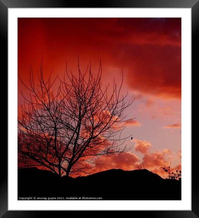 sunset Framed Mounted Print by anurag gupta