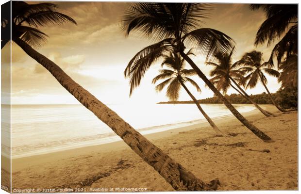 Palm trees, Grand Anse des Salines, Martinique, Caribbean Canvas Print by Justin Foulkes