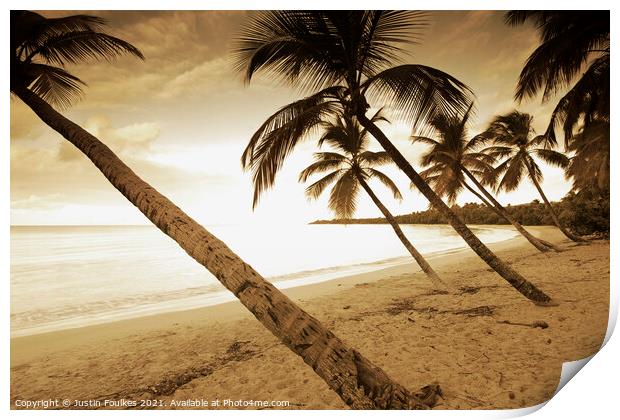 Palm trees, Grand Anse des Salines, Martinique, Caribbean Print by Justin Foulkes