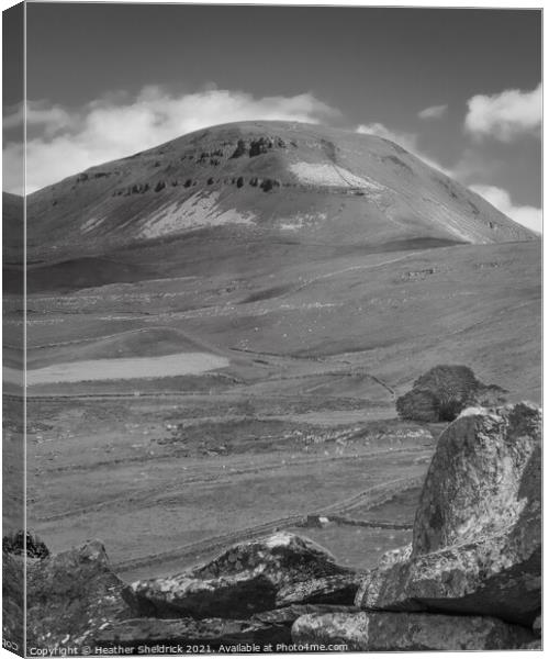 Pen-y-Ghent over drystone wall Canvas Print by Heather Sheldrick