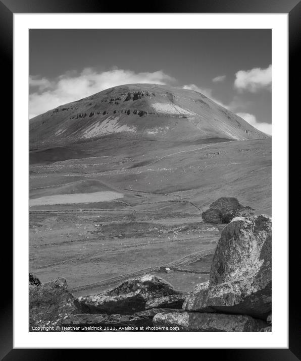 Pen-y-Ghent over drystone wall Framed Mounted Print by Heather Sheldrick