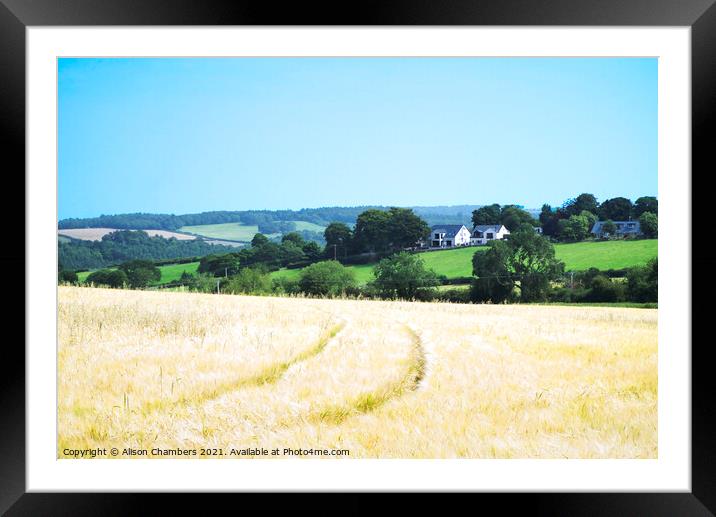 Emley Cornfield  Framed Mounted Print by Alison Chambers