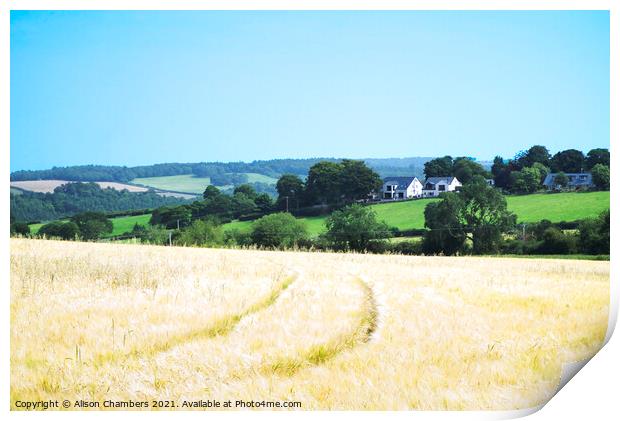 Emley Cornfield  Print by Alison Chambers