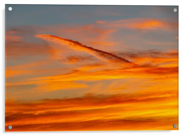 Sunset contrail Acrylic by Rory Hailes