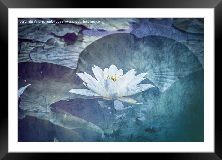 Serenity Blooms Framed Mounted Print by Aimie Burley