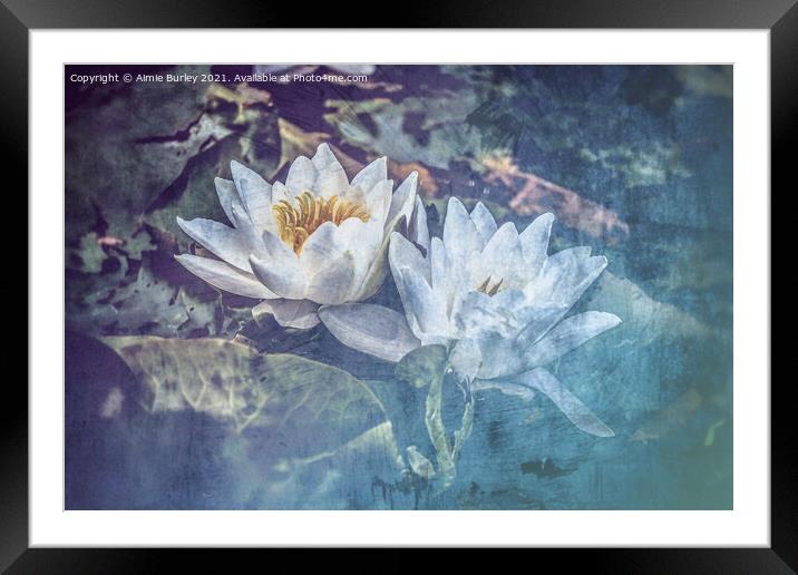 Delicate Beauty Framed Mounted Print by Aimie Burley