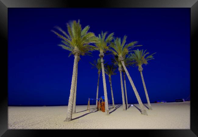 Palms in theevening. Beach of Roquetas de Mar 2 Framed Print by Jose Manuel Espigares Garc