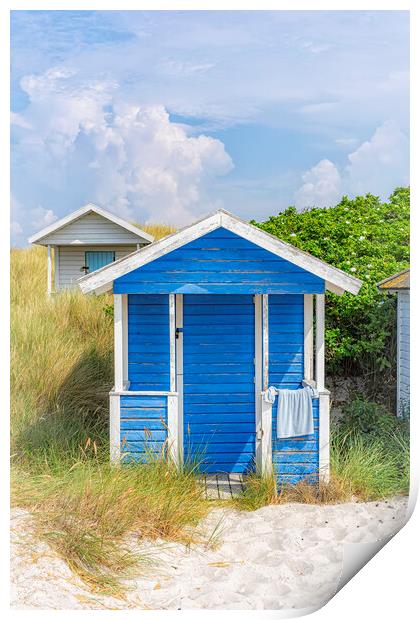 Skanor Beach Hut in Blue and White Print by Antony McAulay