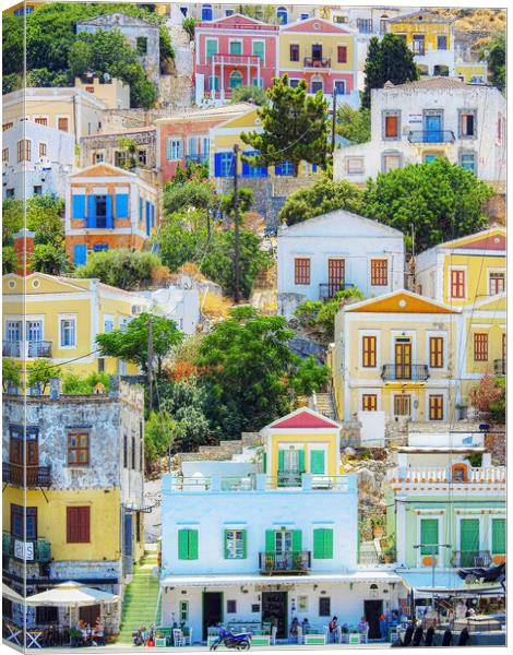 Symi Greek Island Houses Canvas Print by Antony McAulay