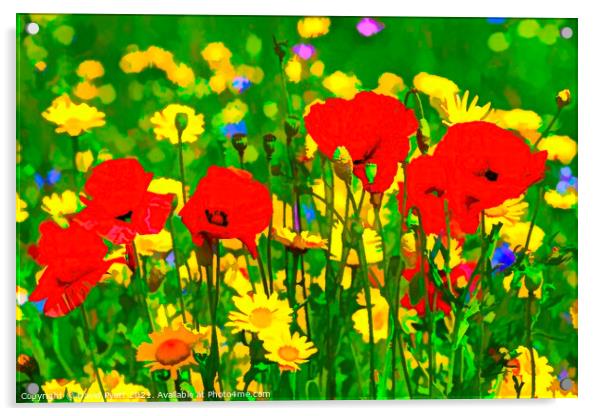Art Of The Poppy  Acrylic by David Pyatt