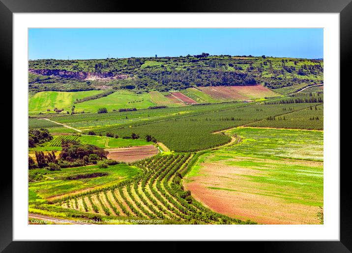 Countryside Farms Farmlands Obidos Portugal Framed Mounted Print by William Perry