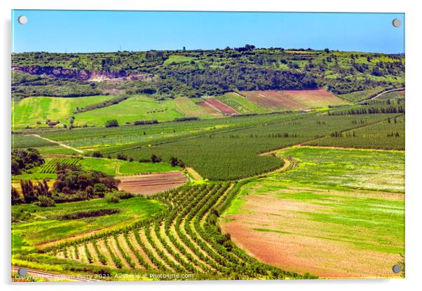 Countryside Farms Farmlands Obidos Portugal Acrylic by William Perry