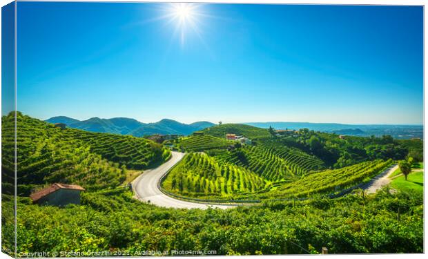 Vineyards and road. Prosecco Hills Canvas Print by Stefano Orazzini