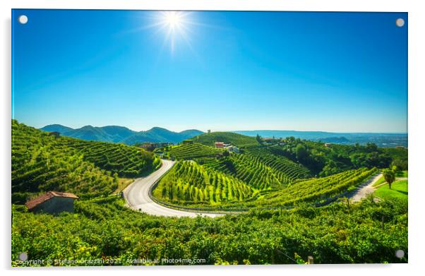 Vineyards and road. Prosecco Hills Acrylic by Stefano Orazzini