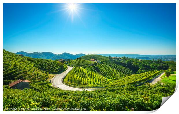 Vineyards and road. Prosecco Hills Print by Stefano Orazzini