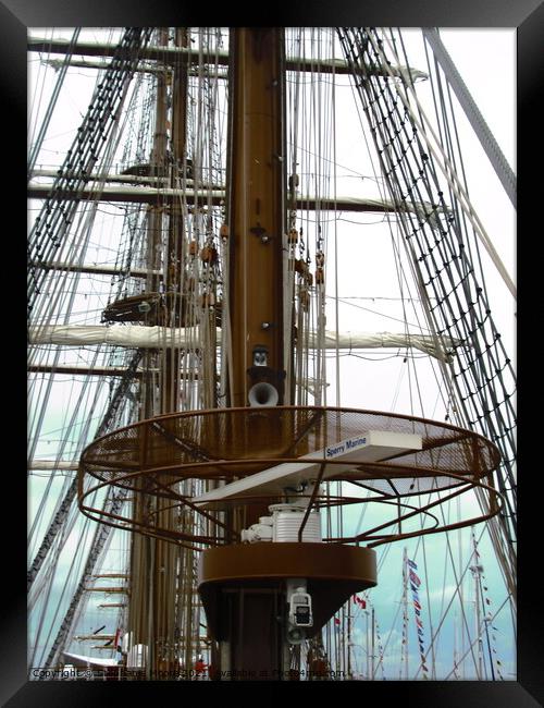 Tall Ship Rigging Framed Print by Stephanie Moore