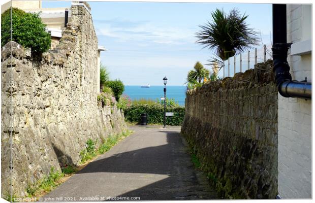 Sea view from a cliff top lane at Shanklin, Isle o Canvas Print by john hill