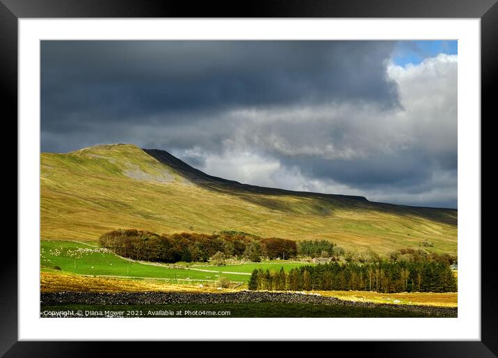 Whernside Yorkshire Dales Framed Mounted Print by Diana Mower