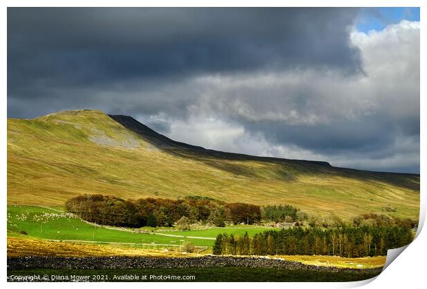 Whernside Yorkshire Dales Print by Diana Mower