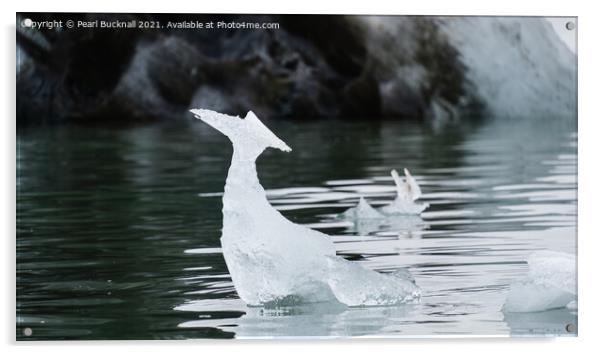 Natural Ice Shapes in Arctic Waters Acrylic by Pearl Bucknall