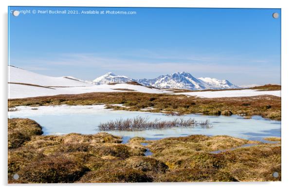 Outdoor Arctic Tundra Landscape in Norway Acrylic by Pearl Bucknall