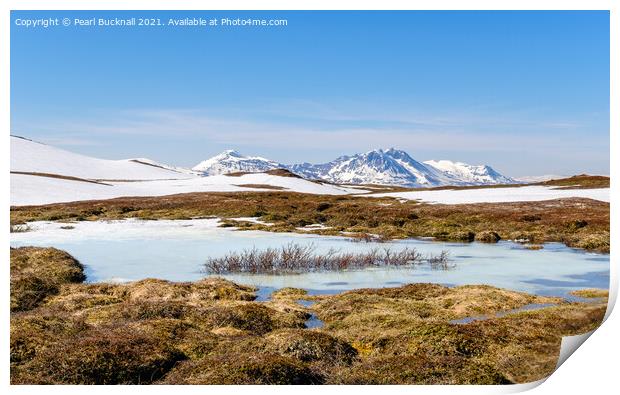 Outdoor Arctic Tundra Landscape in Norway Print by Pearl Bucknall