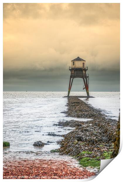 Dovercourt Low Lighthouse Print by Peter Anthony Rollings