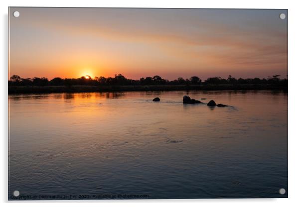 Sunset on the Okavango River, Namibia Acrylic by Dietmar Rauscher