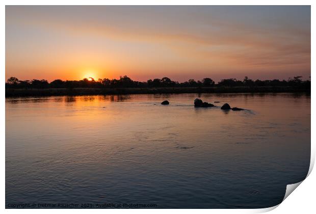 Sunset on the Okavango River, Namibia Print by Dietmar Rauscher