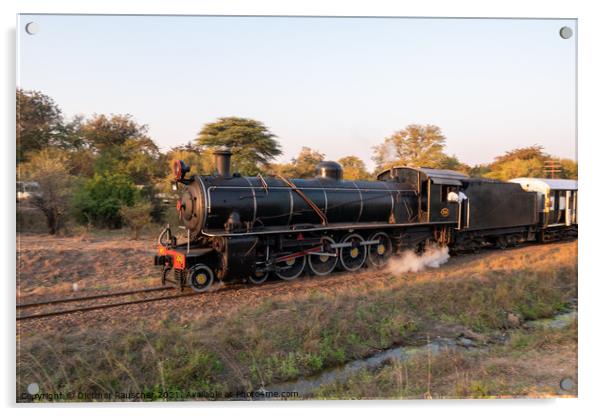 Steam Train at Victoria Falls, Zimbabwe Acrylic by Dietmar Rauscher