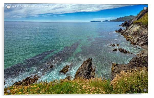 on the cliffs above Coumeenoole Beach Acrylic by Derek Daniel