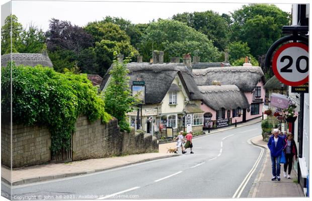 Shanklin thatched village on the Isle of Wight. Canvas Print by john hill