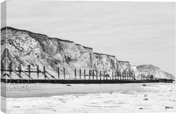 Sea defences at West Runton Canvas Print by Jason Wells